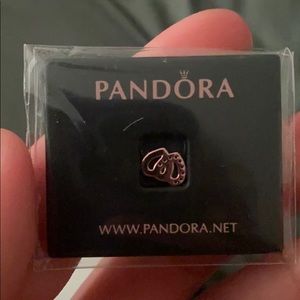 Pandora mini hearts charm